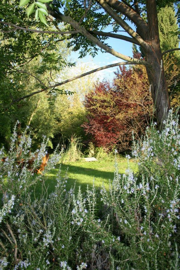 Gite Derrière les Oliviers -Le Mas de la Cigale Bleue Caumont-sur-Durance Esterno foto